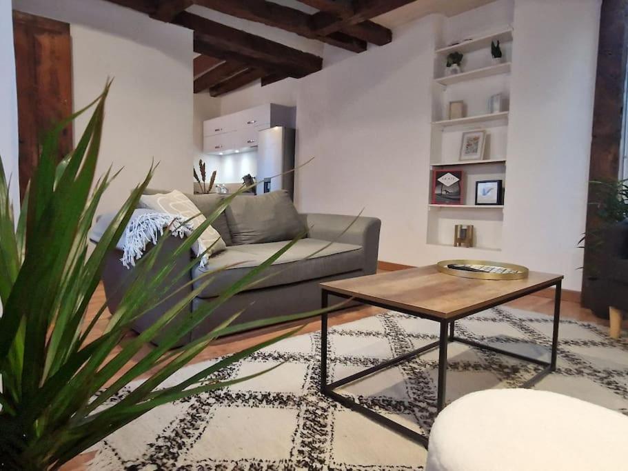 Loft De Charme Hypercentre Apartamento